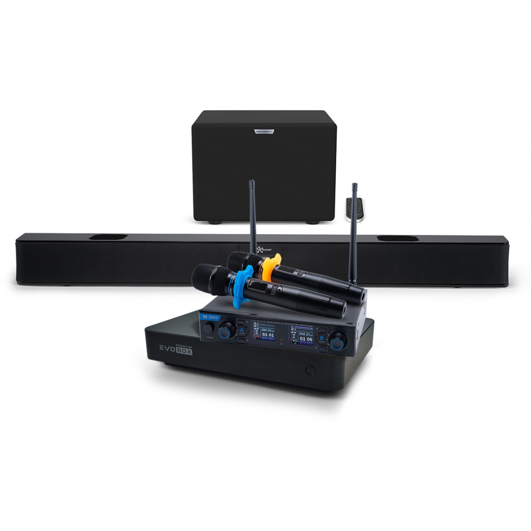 Hi-End караоке-система EVOBOX Premium + EvoSoundBar (саундбар с караоке) в Пермской области