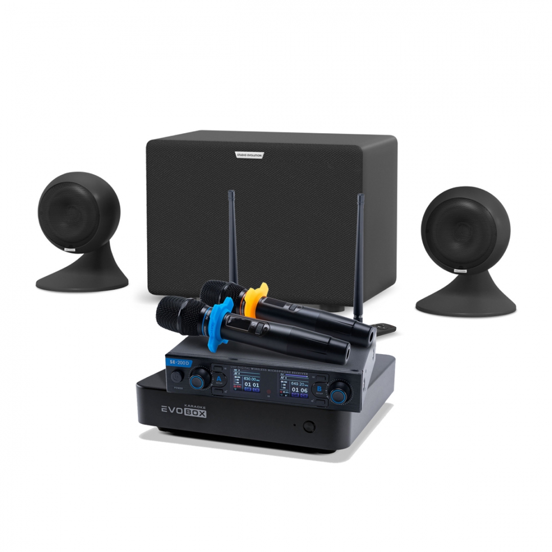 караоке-комплект EVOBOX + EvoSound Sphere 2.1 в Пермской области