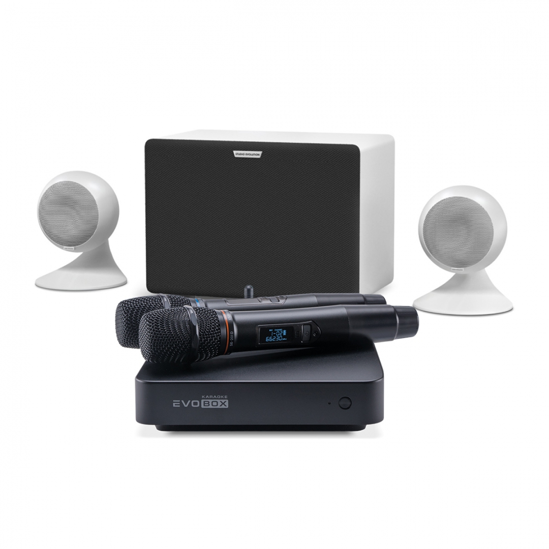 караоке-комплект EVOBOX Classic + EvoSound Sphere 2.1 в Пермской области