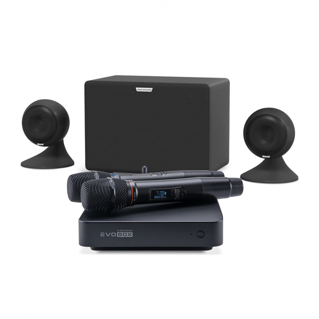караоке-комплект EVOBOX Plus + EvoSound Sphere 2.1 в Пермской области