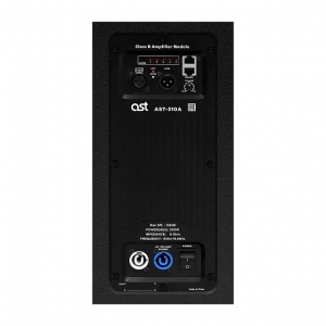 Активная акустическая система AST-310A в Пермской области