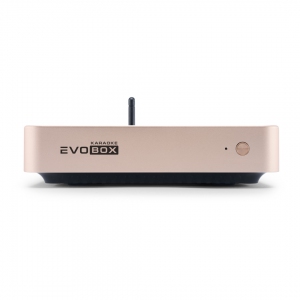 EVOBOX Plus караоке-система для дома в Пермской области