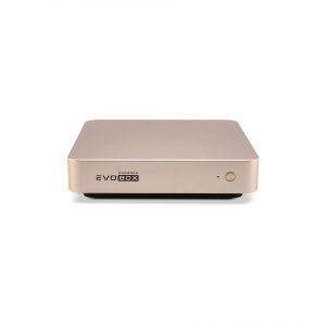 EVOBOX с микрофонами в Пермской области