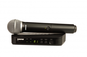 SHURE BLX24E/PG58 M17 вокальная радиосистема в Пермской области
